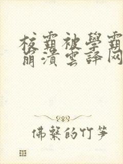 校霸被学霸玩到崩溃云译网