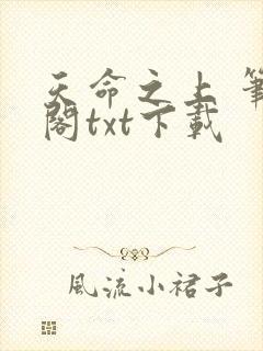 天命之上 笔趣阁txt下载