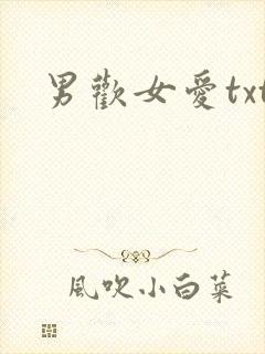 男欢女爱txt封面
