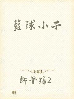篮球小子