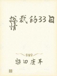 总裁的33日索情