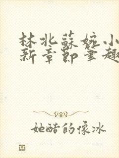 林北苏婉小说最新章节笔趣阁