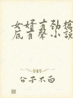 女婿有劲枪枪到底有声小说封面