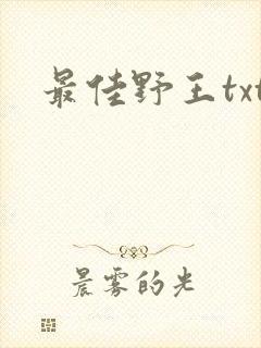 最佳野王txt