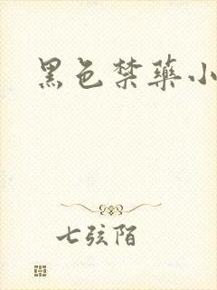 黑色禁药小说封面