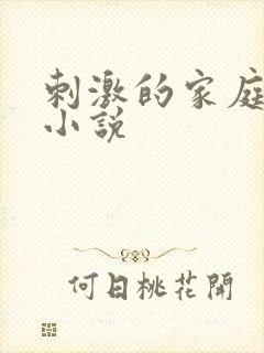 刺激的家庭乱仑小说