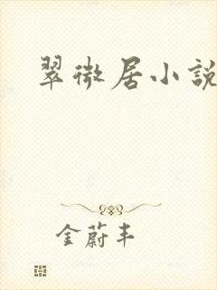 翠微居小说