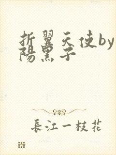 折翼天使by太阳黑子封面