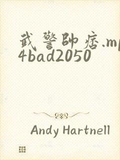 武警帅痞.mp4bad2050封面