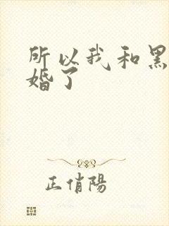 所以我和黑粉结婚了