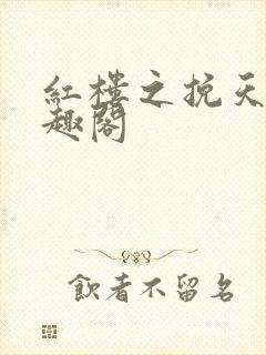 红楼之挽天倾笔趣阁