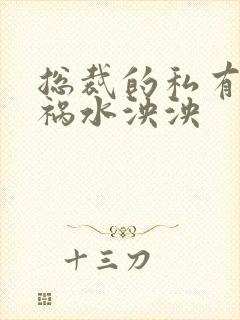 总裁的私有宝贝祸水泱泱