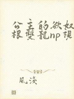 公主的欲奴h四根双龙np视频