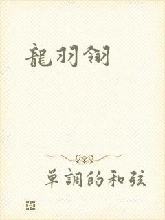 龙羽翎封面