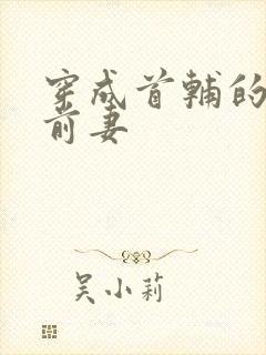 穿成首辅的炮灰前妻