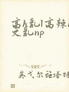 高h乱l高辣h文乱np封面
