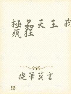 极品天王 我本疯狂封面