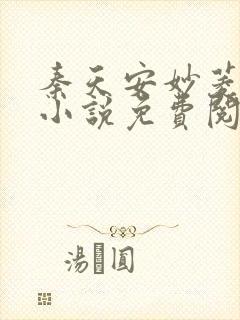 秦天安妙菱修仙小说免费阅读正版封面