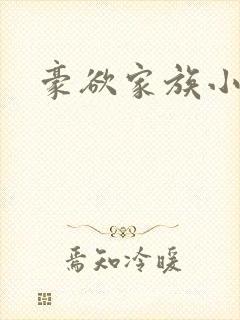 豪欲家族小说封面