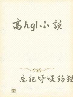 高hgl小说封面