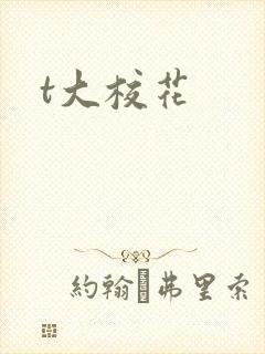 t大校花