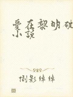 爱在黎明破晓前小说