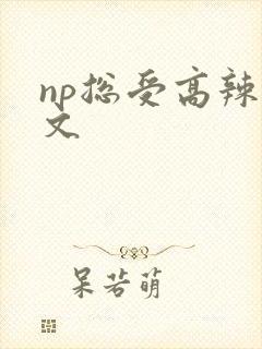 np总受高辣h文封面