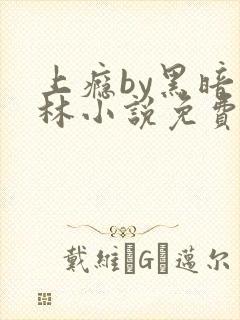 上瘾by黑暗森林小说免费