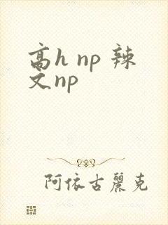 高h np 辣文np