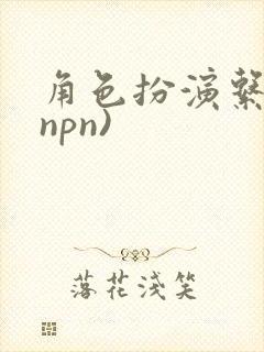 角色扮演系统(npn)