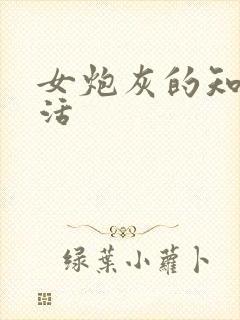 女炮灰的知青生活