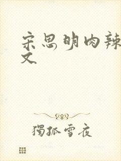 宋思明肉辣文h文