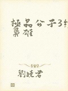 极品公子3续世枭雄