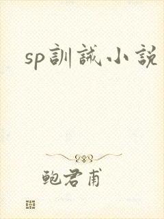sp训诫小说封面