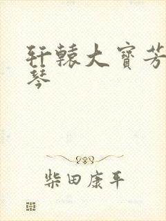 轩辕大宝芳菲雅琴