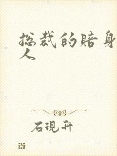 总裁的赔身小情人封面