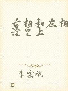 右相和左相一起淦皇上