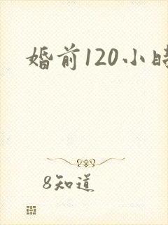 婚前120小时封面