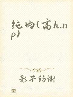 纯肉(高h.np)封面