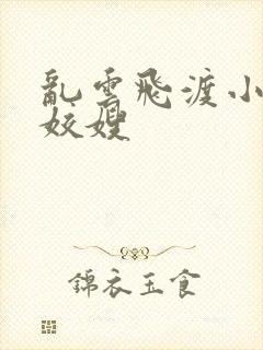 乱云飞渡小说之姣嫂封面