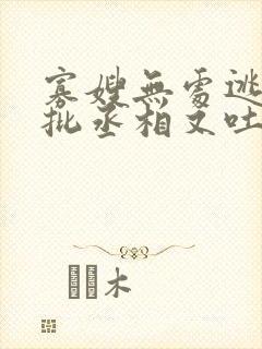 寡嫂无处逃,疯批丞相又吐血了封面