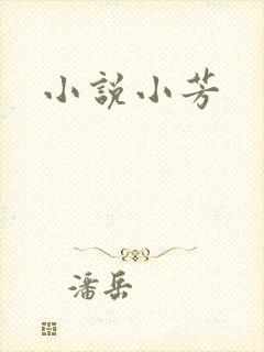 小说小芳