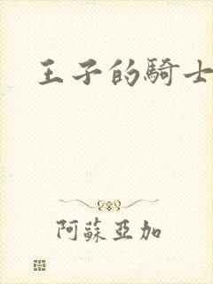 王子的骑士小说