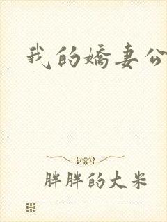 我的娇妻公务员