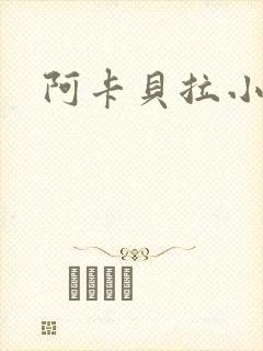 阿卡贝拉小说封面