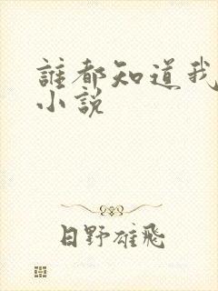 谁都知道我爱你小说