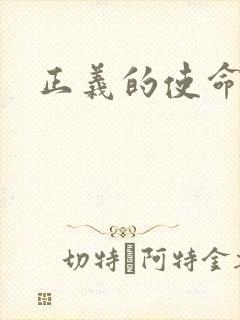 正义的使命小说