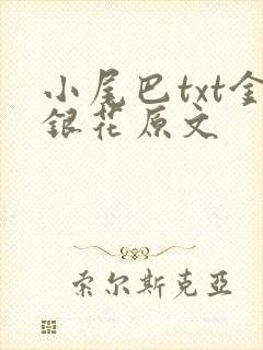 小尾巴txt金银花原文