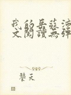 我的岳苏沛真全文阅读无弹窗 笔趣阁封面