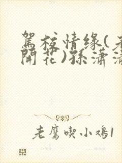 驾校情缘(老树开花)孙潇潇笔趣阁